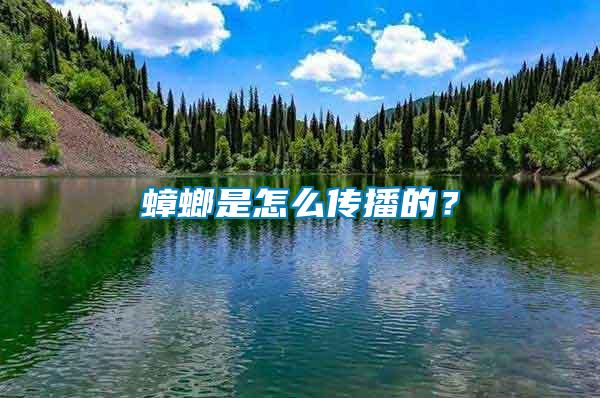 蟑螂是怎么傳播的？