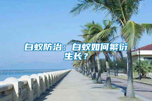 白蟻防治：白蟻如何繁衍生長(zhǎng)？