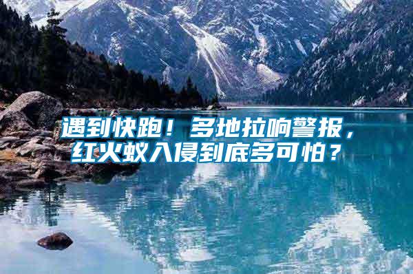 遇到快跑！多地拉響警報(bào)，紅火蟻入侵到底多可怕？