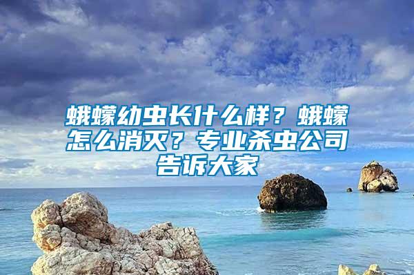 蛾蠓幼蟲長什么樣？蛾蠓怎么消滅？專業(yè)殺蟲公司告訴大家