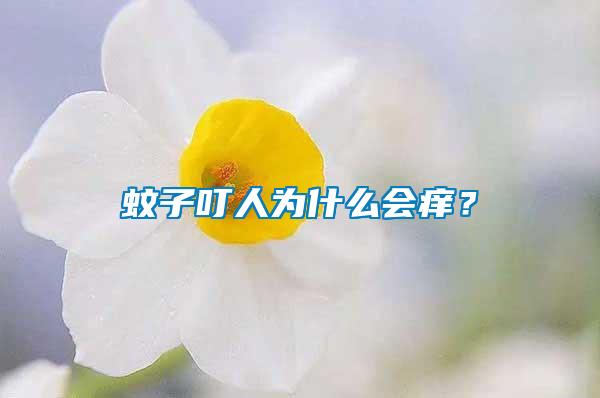 蚊子叮人為什么會癢？