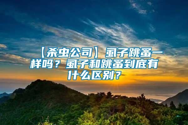 【殺蟲公司】虱子跳蚤一樣嗎？虱子和跳蚤到底有什么區(qū)別？