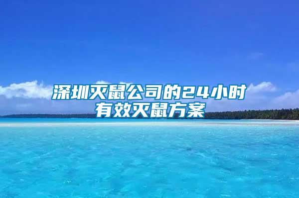 深圳滅鼠公司的24小時有效滅鼠方案