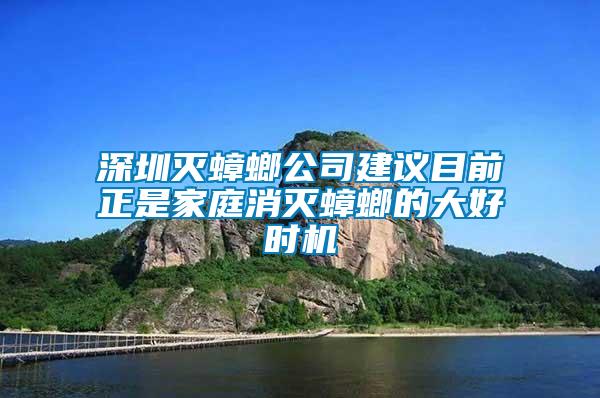 深圳滅蟑螂公司建議目前正是家庭消滅蟑螂的大好時(shí)機(jī)