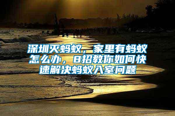 深圳滅螞蟻，家里有螞蟻怎么辦，8招教你如何快速解決螞蟻入室問題