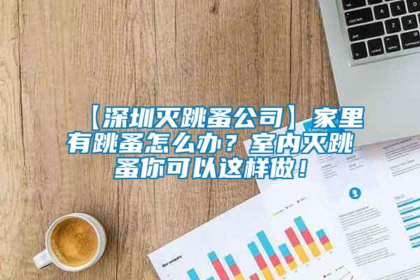 【深圳滅跳蚤公司】家里有跳蚤怎么辦？室內(nèi)滅跳蚤你可以這樣做！