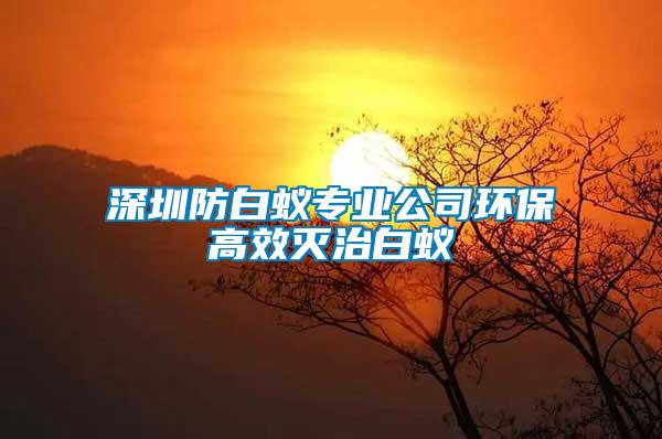 深圳防白蟻專業(yè)公司環(huán)保高效滅治白蟻