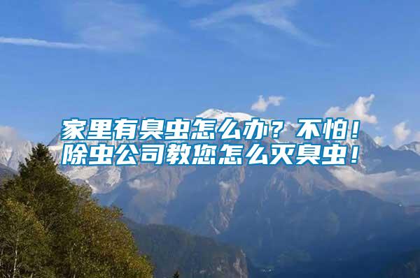 家里有臭蟲(chóng)怎么辦？不怕！除蟲(chóng)公司教您怎么滅臭蟲(chóng)！