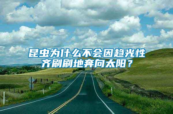 昆蟲為什么不會因趨光性齊刷刷地奔向太陽？