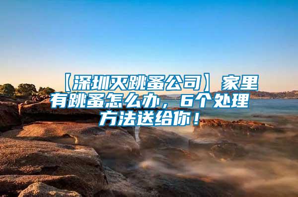 【深圳滅跳蚤公司】家里有跳蚤怎么辦，6個(gè)處理方法送給你！