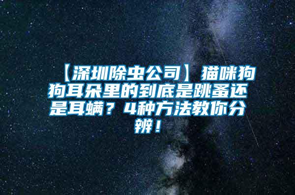 【深圳除蟲公司】貓咪狗狗耳朵里的到底是跳蚤還是耳螨？4種方法教你分辨！