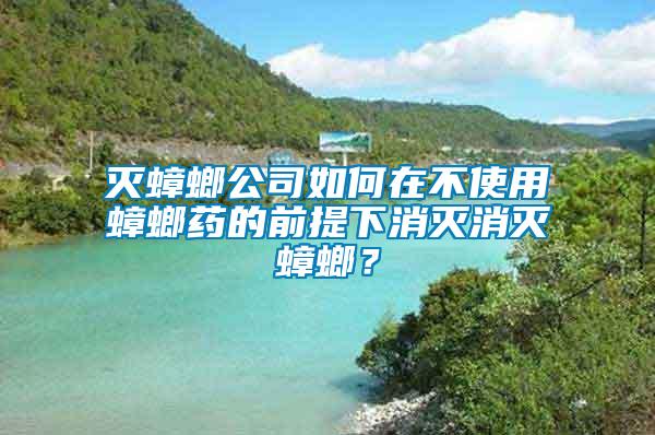 滅蟑螂公司如何在不使用蟑螂藥的前提下消滅消滅蟑螂？