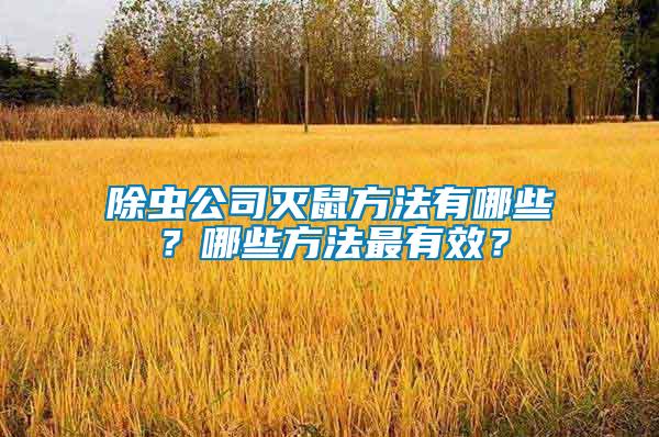 除蟲公司滅鼠方法有哪些？哪些方法最有效？