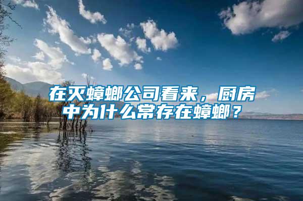 在滅蟑螂公司看來，廚房中為什么常存在蟑螂？