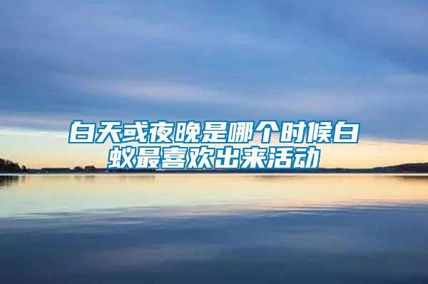 白天或夜晚是哪個(gè)時(shí)候白蟻?zhàn)钕矚g出來活動