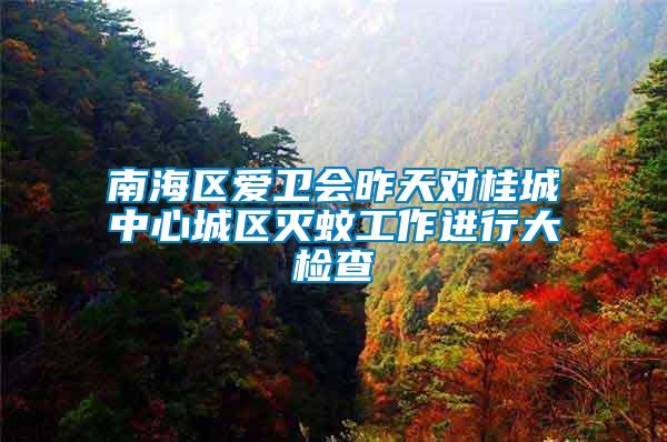 南海區(qū)愛(ài)衛(wèi)會(huì)昨天對(duì)桂城中心城區(qū)滅蚊工作進(jìn)行大檢查