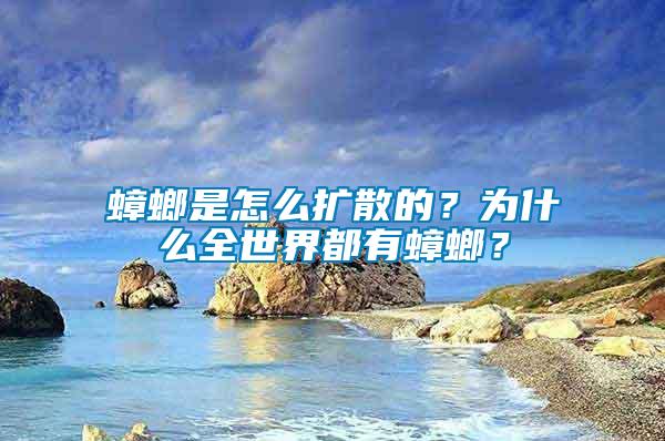 蟑螂是怎么擴散的？為什么全世界都有蟑螂？