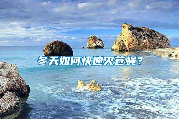 冬天如何快速滅蒼蠅？