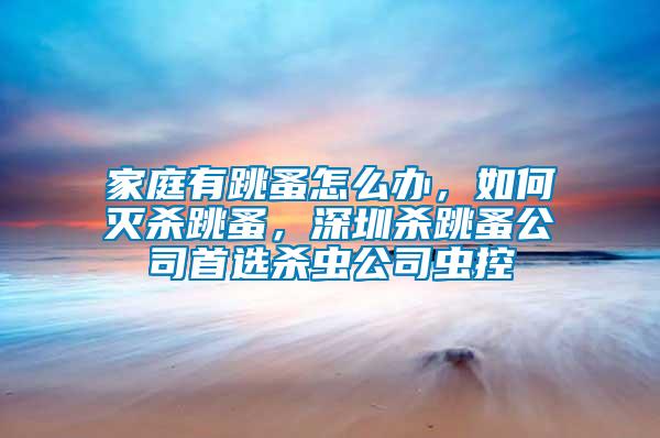 家庭有跳蚤怎么辦，如何滅殺跳蚤，深圳殺跳蚤公司首選殺蟲公司蟲控