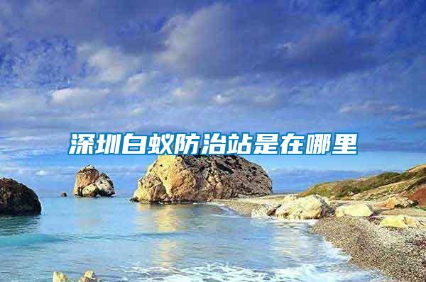 深圳白蟻防治站是在哪里