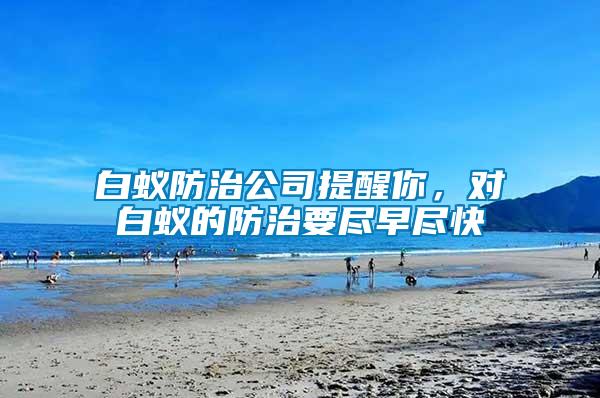 白蟻防治公司提醒你，對(duì)白蟻的防治要盡早盡快