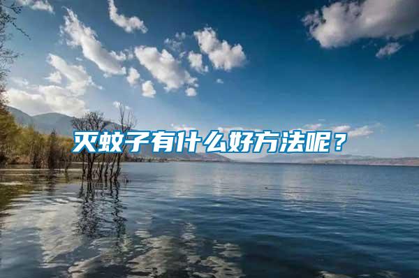 滅蚊子有什么好方法呢？