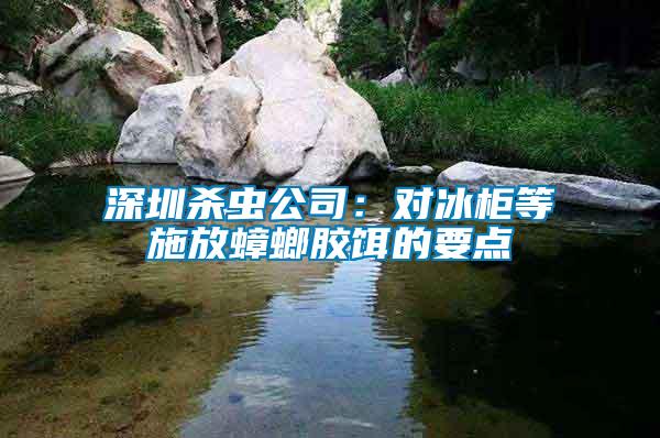 深圳殺蟲(chóng)公司：對(duì)冰柜等施放蟑螂膠餌的要點(diǎn)