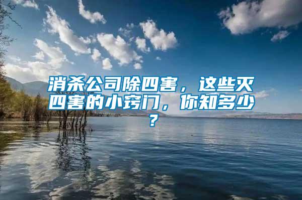 消殺公司除四害，這些滅四害的小竅門，你知多少？