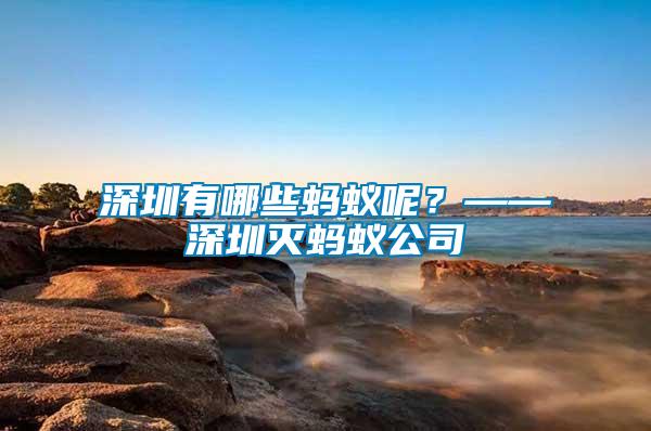 深圳有哪些螞蟻呢？——深圳滅螞蟻公司