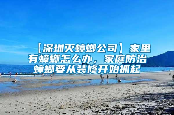 【深圳滅蟑螂公司】家里有蟑螂怎么辦，家庭防治蟑螂要從裝修開始抓起