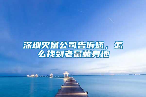 深圳滅鼠公司告訴您，怎么找到老鼠藏身地