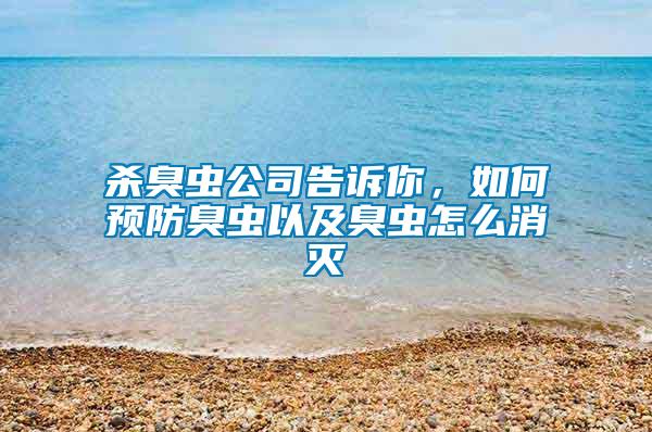 殺臭蟲公司告訴你，如何預(yù)防臭蟲以及臭蟲怎么消滅