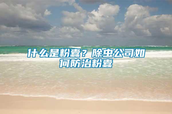 什么是粉蠹？除蟲(chóng)公司如何防治粉蠹