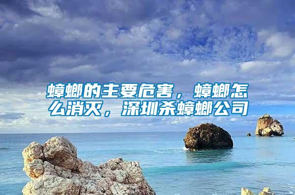 蟑螂的主要危害，蟑螂怎么消滅，深圳殺蟑螂公司