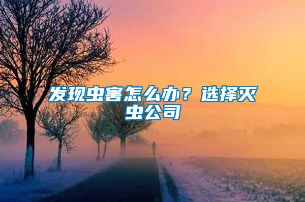 發(fā)現(xiàn)蟲害怎么辦？選擇滅蟲公司