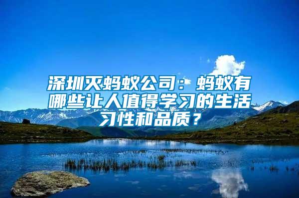 深圳滅螞蟻公司：螞蟻有哪些讓人值得學習的生活習性和品質(zhì)？