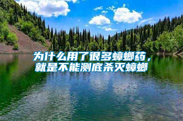 為什么用了很多蟑螂藥，就是不能測底殺滅蟑螂