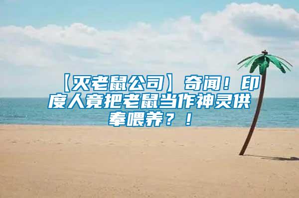 【滅老鼠公司】奇聞！印度人竟把老鼠當作神靈供奉喂養(yǎng)？！