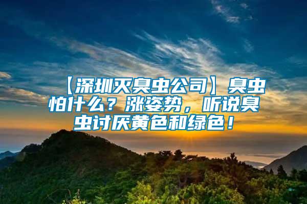 【深圳滅臭蟲公司】臭蟲怕什么？漲姿勢，聽說臭蟲討厭黃色和綠色！