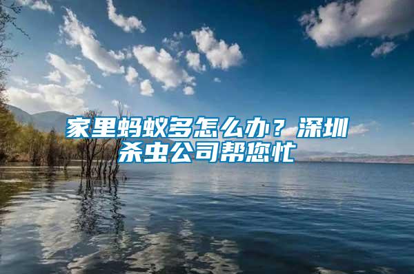 家里螞蟻多怎么辦？深圳殺蟲公司幫您忙