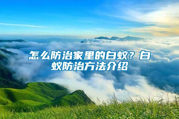 怎么防治家里的白蟻？白蟻防治方法介紹