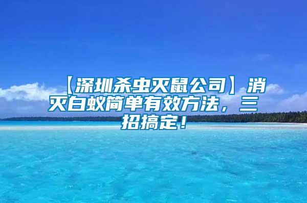 【深圳殺蟲滅鼠公司】消滅白蟻簡單有效方法，三招搞定！