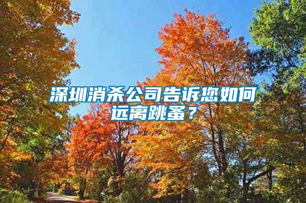 深圳消殺公司告訴您如何遠(yuǎn)離跳蚤？