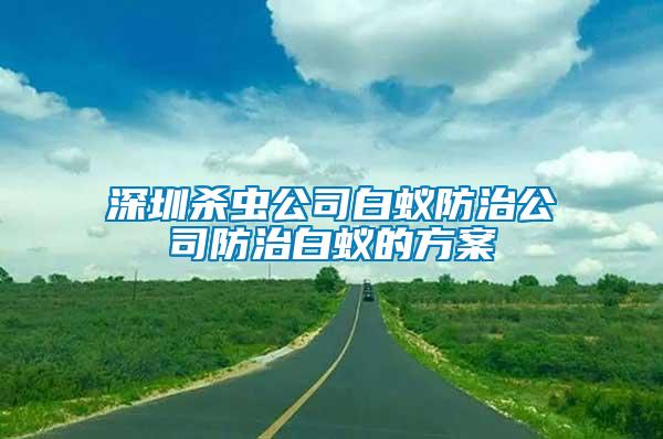 深圳殺蟲公司白蟻防治公司防治白蟻的方案