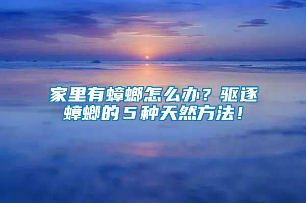 家里有蟑螂怎么辦？驅(qū)逐蟑螂的５種天然方法！