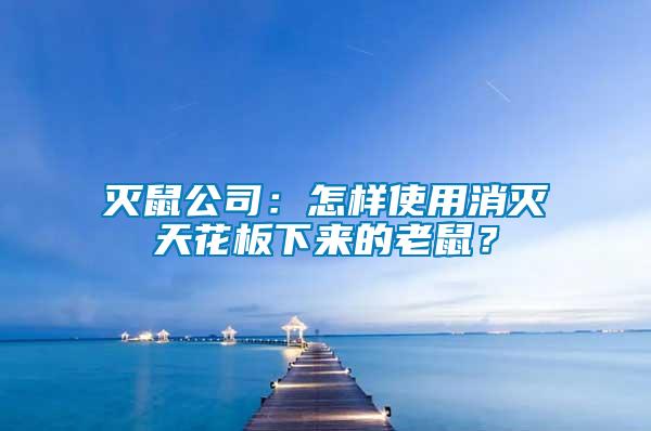 滅鼠公司：怎樣使用消滅天花板下來的老鼠？