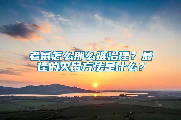 老鼠怎么那么難治理？最佳的滅鼠方法是什么？