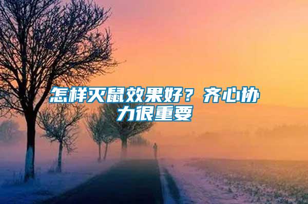 怎樣滅鼠效果好？齊心協(xié)力很重要