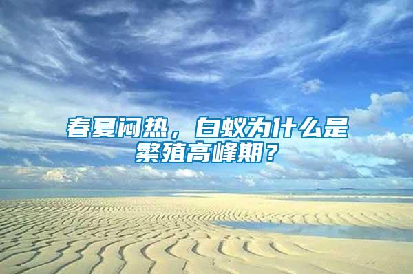 春夏悶熱，白蟻為什么是繁殖高峰期？