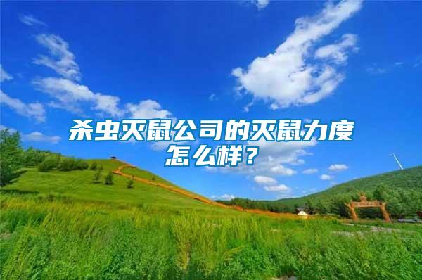 殺蟲(chóng)滅鼠公司的滅鼠力度怎么樣？